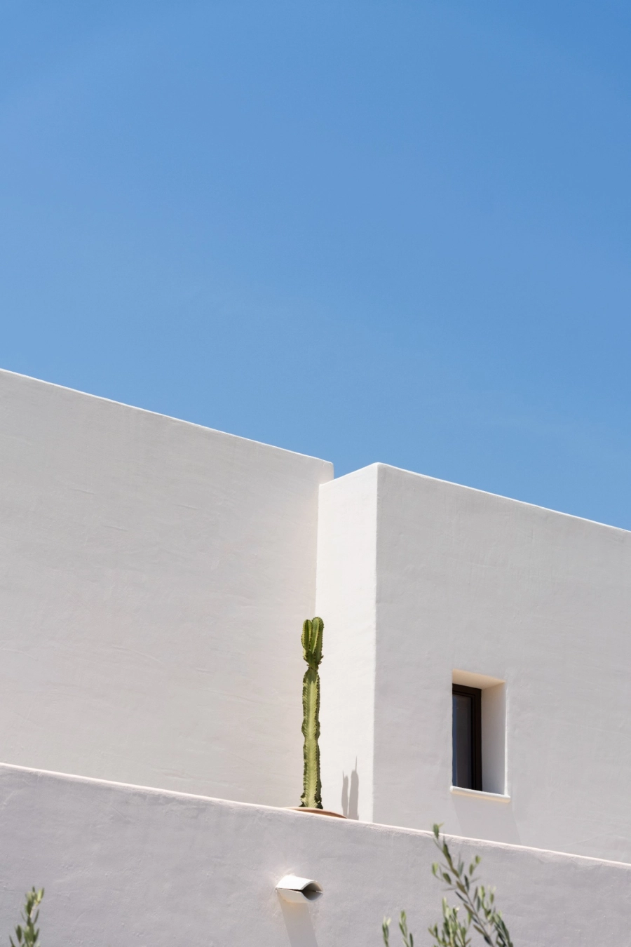 Studio base vivienda cuablanc 14