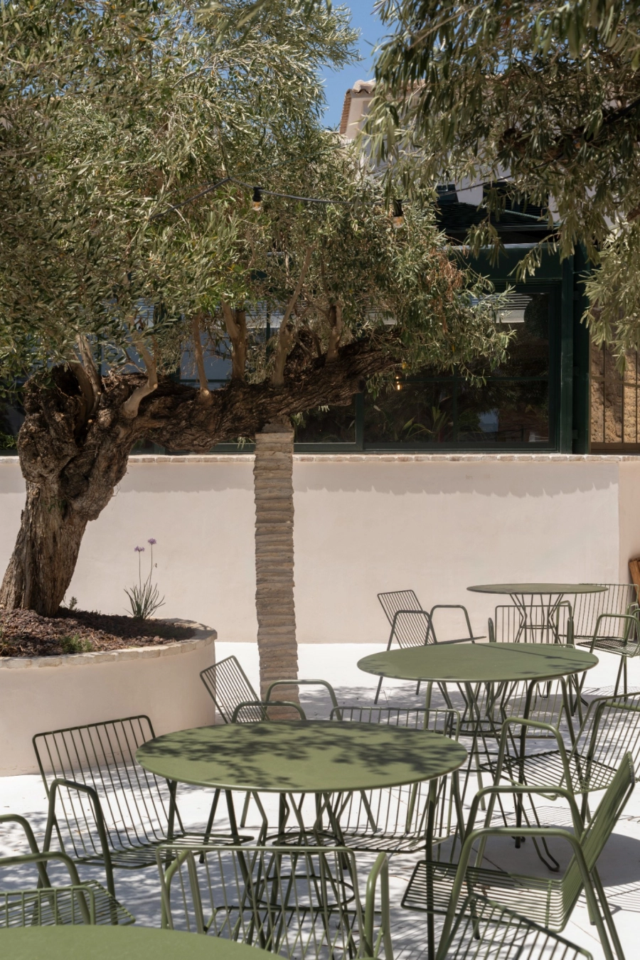 Studio base restaurante farini 45